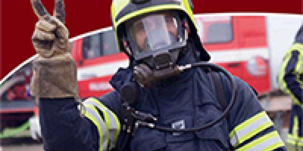 1 kansi sinunjapalokuntasipuolesta