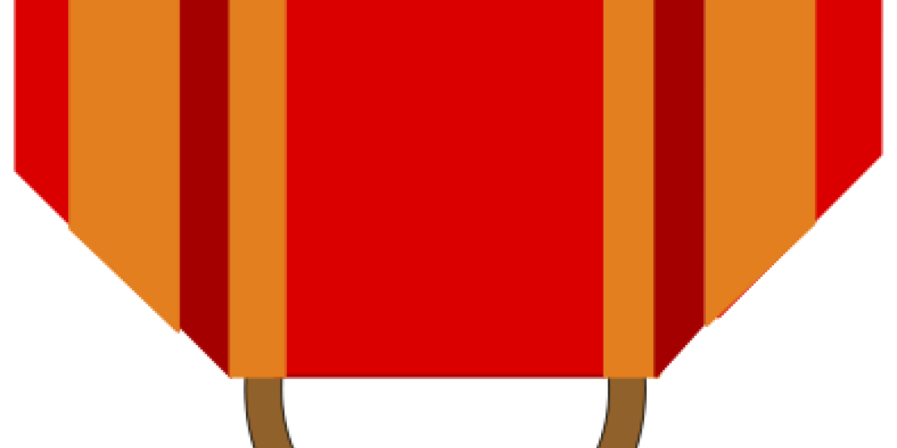 SSPL pronssinen ansiomitali